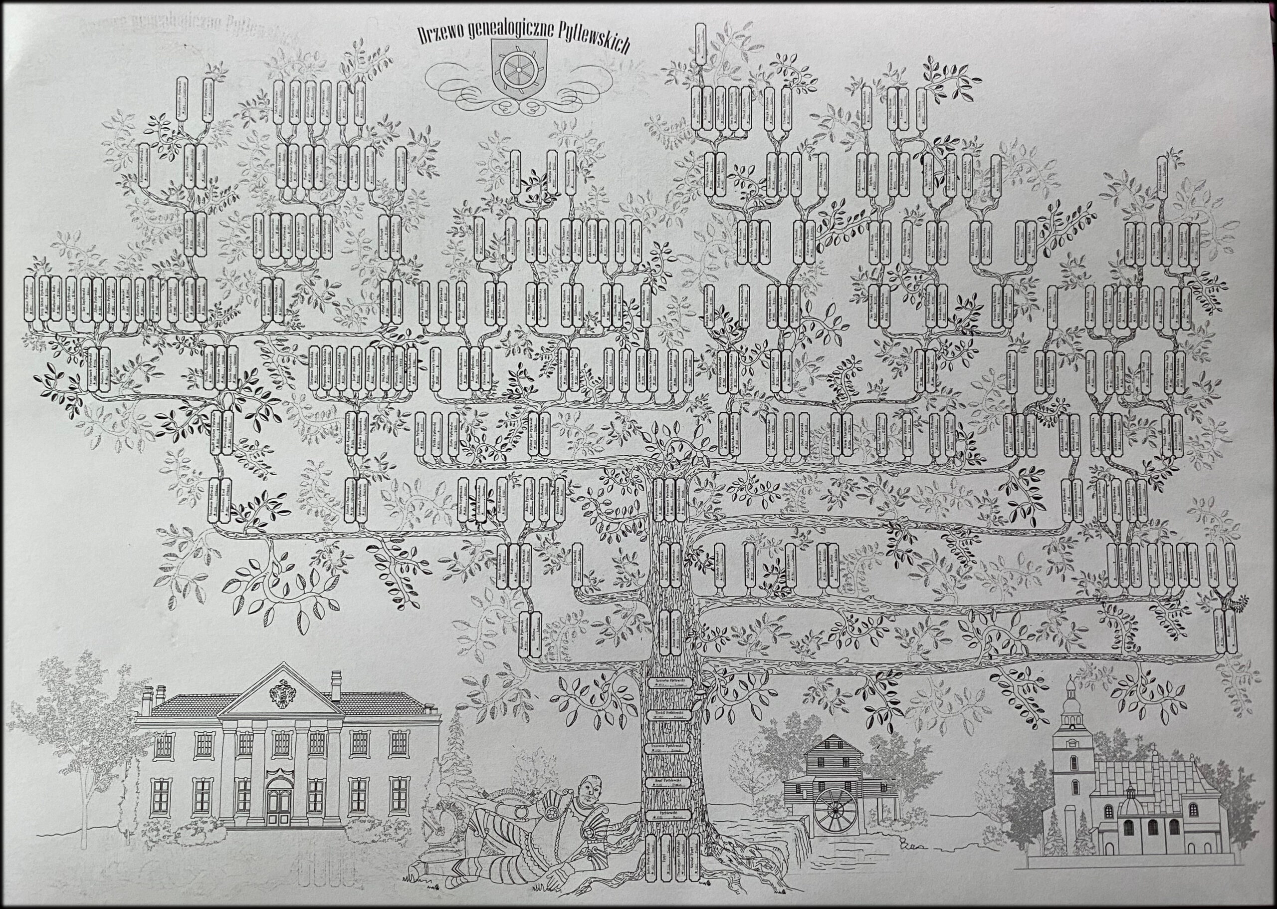 Drzewo genealogiczne